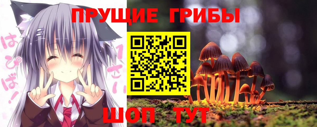 Галлюциногенные грибы прущие грибы Коркино