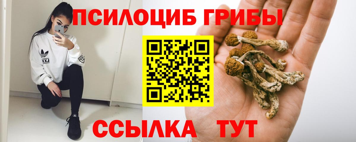 Коркино  купить   Вход с VPN  Псилоцибиновые грибы Psilocybine cubensis 