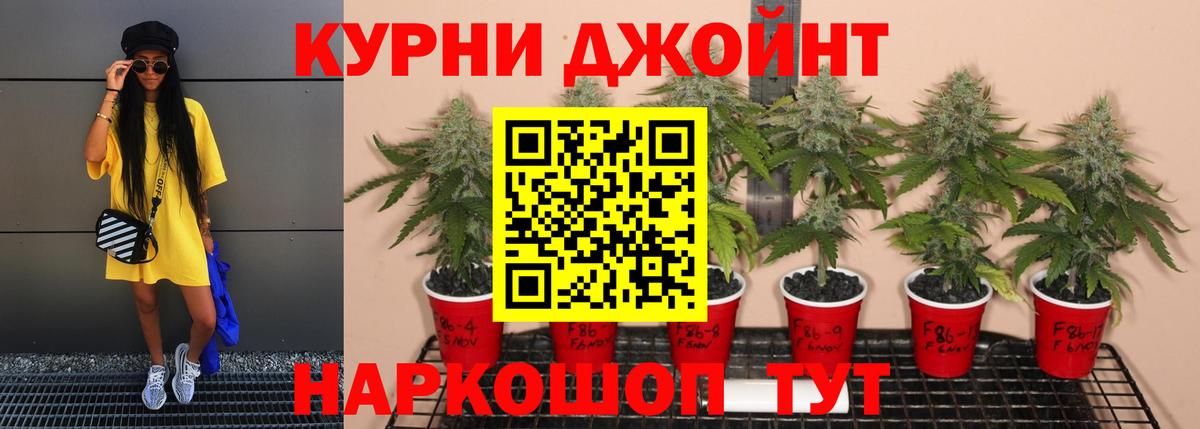 Каннабис Amnesia  Вход с VPN  Каннабис сатива  Шишки марихуана гибрид  Коркино 